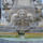 Detail_of_the_fountain_in_piazza_della_rotunda_1216789_3248_t