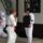 Karate_tabor_szantod_065_1216128_4970_t