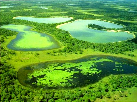 pantanal nemzeti park 2