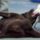 Vauuuuu_1216123_3819_t