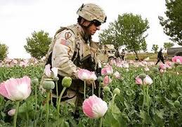 CIA megszerzi az afgán ópiumot
