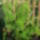 Ecetfa_1217423_5937_t