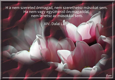 versek virágok 14