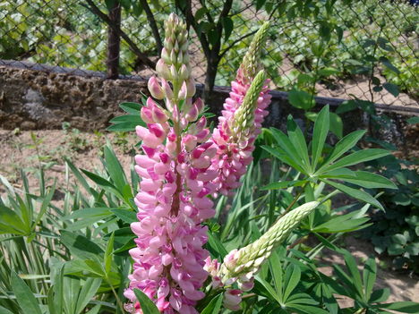 20110519301
