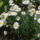 20110625453_1218509_5541_t