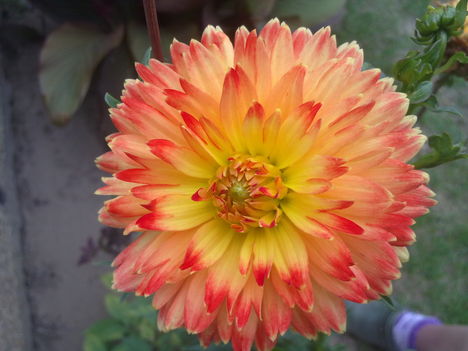 20110802704