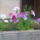 20110808715_1218502_3463_t
