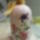 Sdc14010_1218310_6734_t
