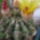 2011_06150037_1219636_9081_t