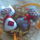 Cicak_5_1219823_7404_t