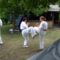 Karate tábor Szántód 090