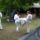 Karate_tabor_szantod_090_1219741_1732_t