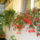 Viragok__534_1219197_9843_t