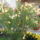 Viragok__568_1219196_7572_t
