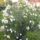 Viragok__571_1219193_4637_t