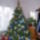 2006 ban díszített karácsonyfa
