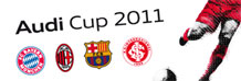 218x74_audicup_