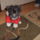 Dsci0054_1021429_6961_t