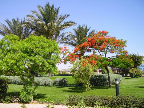 Hurghada 
