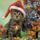 Kari_cica_fotos2_121414_18037_t
