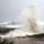 Kina_conson_partvidek_1021698_5030_t