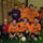 Sokoroalja_kupa_20081227_042spatka_se_121435_88831_t