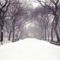 Tél a Central Parkban