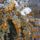 Tuztovis_telen-001_1221106_3848_t