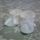 Anyabuba_2_1222723_3692_t