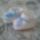 Anyabuba_3_1222725_2826_t