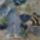 Anyabuba_5_1222728_8524_t