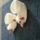 Anyabuba_7_1222731_7057_t