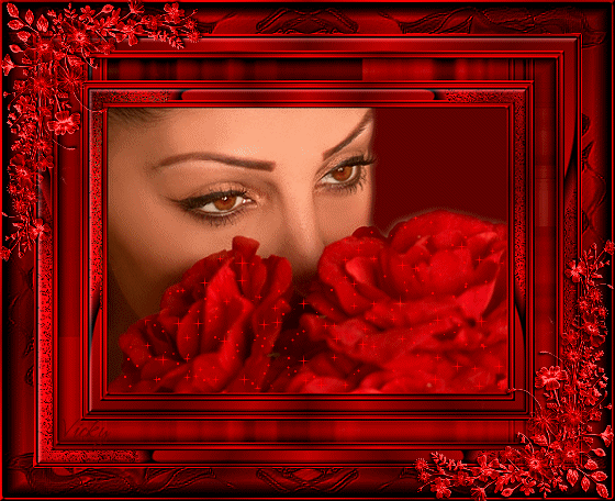 Szép lenyzó piros rózsával