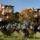 Treehouselombhaz_1222329_1730_t