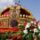 Aug20-001_1223115_7292_t