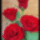 Rozsak__1223893_5295_t