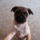 P1060482_1224216_7556_t