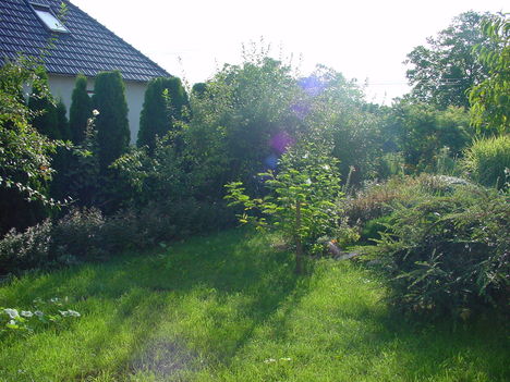 Előkert 2