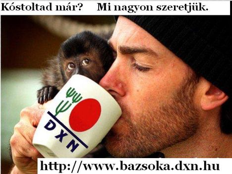férfi, majom dxn kávé
