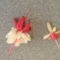 Mogyorósiné Babi kérdezte, hogy milyen nagy a piros-fehér fukszia virága! Mutatom a különbséget a szimplához viszonyítva.