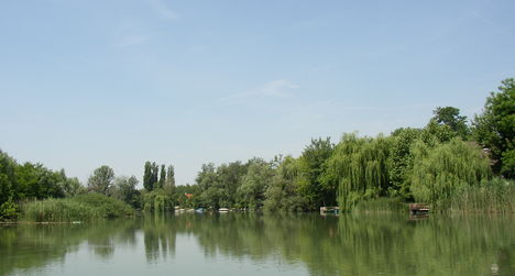 Mosoni-Duna, Mosonmagyaróvár belterület feletti szakasz