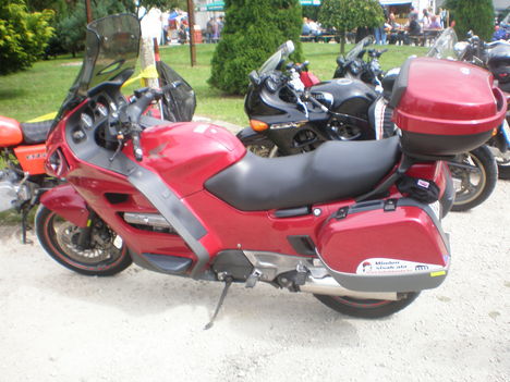 P8130022