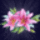Animationcsillogo_viag_1226796_9137_t