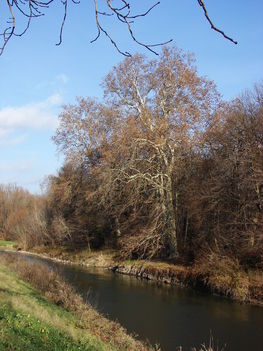 Lajta  folyó, 2006