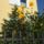 Sargasag_1226077_3176_t