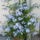Viragok_2011_aug_011_1226822_8662_t