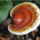 Ganoderma-001_1227890_3958_t