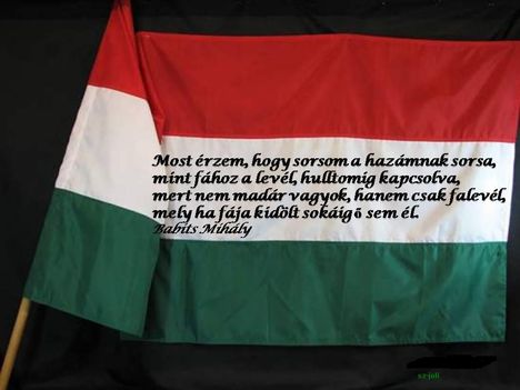 zászló mostérzem hogy sorsom hazám