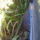 20110814_1156-001_1228299_1188_t