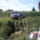 20110814_1216_1228289_3056_t